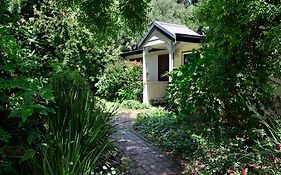 Crystal Creek Meadows