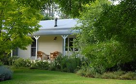 Crystal Creek Meadows